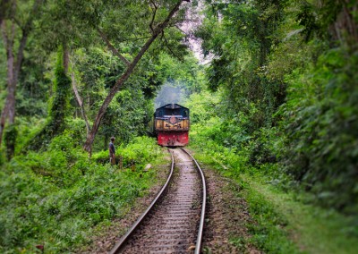 A train journey will go through the jungle of lawachora