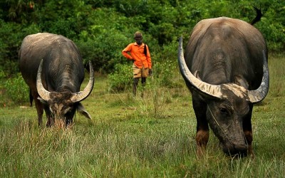 02 Days trip to experience Bangladesh Nature and Ethnic Life