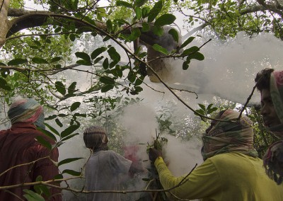 Honey hunting in april is an adventure in sundarban