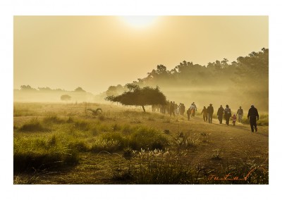 Sundarban tour | Sundarban tour package