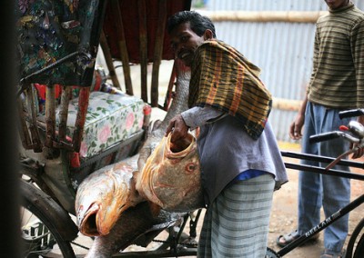 Fish Market in Chittagong city tour