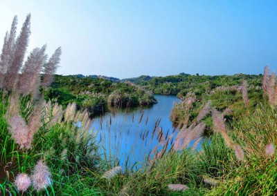 explore Vatiary lake in chittagong city tour