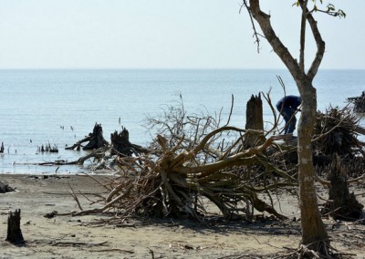 dead life at kokta beach
