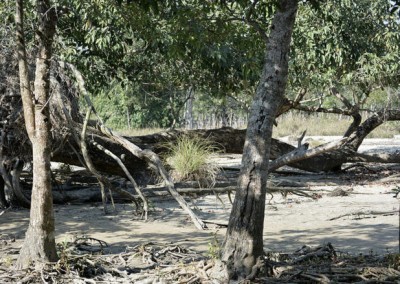 Sundarban tour | Sundarban tour package