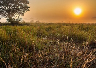 sunrises in kotka vally