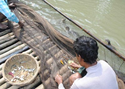fisher man collecting fish caught with help of otter