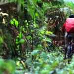 Cycle riding in Srimangal