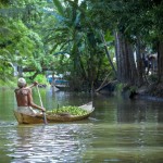 Backwater Country Life