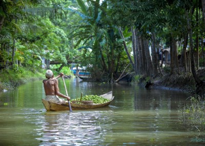Backwater Country Life