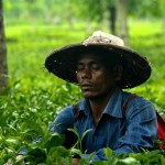 8 Days Adventure : Explore Nature of Bangladesh and biggest sea beach in the World