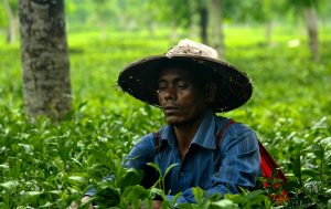 8 Days Adventure : Explore Nature of Bangladesh and biggest sea beach in the World