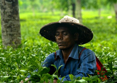 8 Days Adventure : Explore Nature of Bangladesh and biggest sea beach in the World