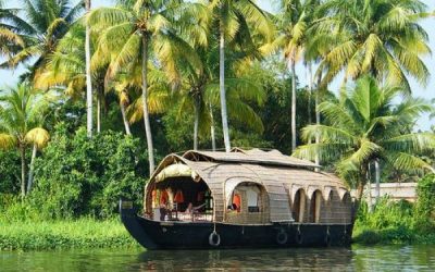 07 Days / 06 nights: Kerala Tour Package