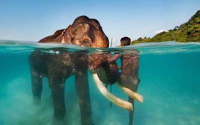 06 Days / 05 Nights: ANDAMAN TOUR PACKAGE