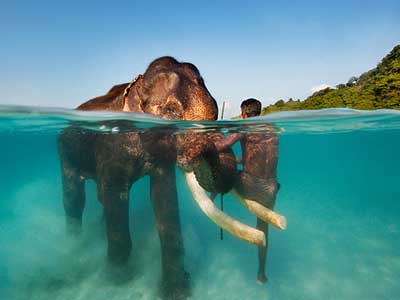 06 Days / 05 Nights: ANDAMAN TOUR PACKAGE