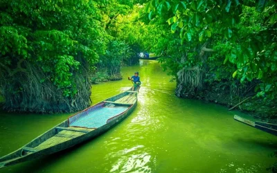 Navigating the Fresh Water Jungle in  2026:Ratargul Swamp Forest